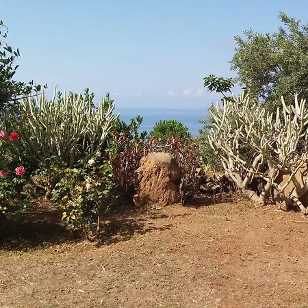 בית הארחה La Rosa *