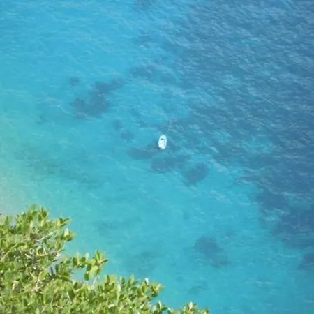 בית הארחה La Rosa