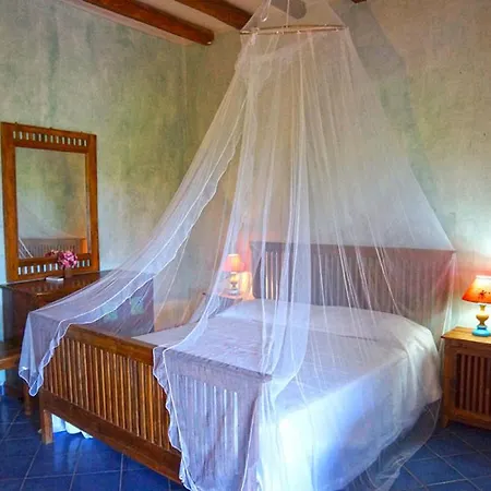 Guest house La Rosa *