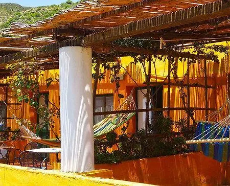 Guest house La Rosa Pecorini